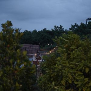 Niraamaya Retreats Vaidekam, Kannur